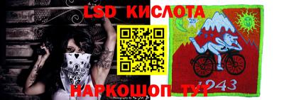 сатива Краснодар