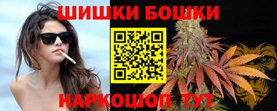 сатива Краснодар