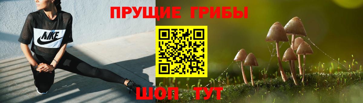 Клинцы  Галлюциногенные грибы Cubensis  Вход с VPN 